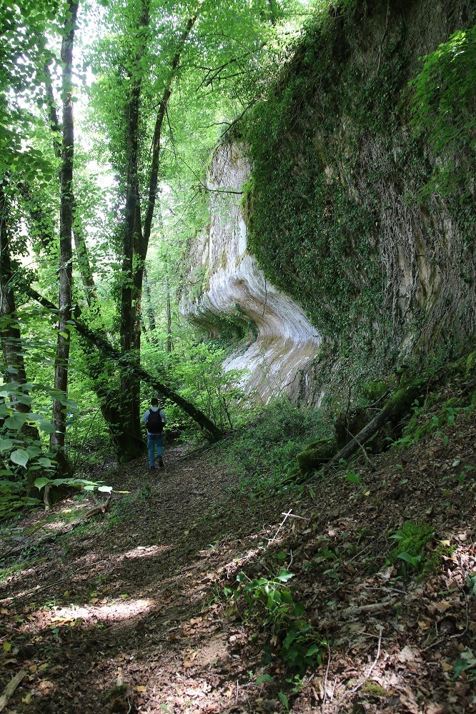 100087050_728908307919433_6581813123697606656_n