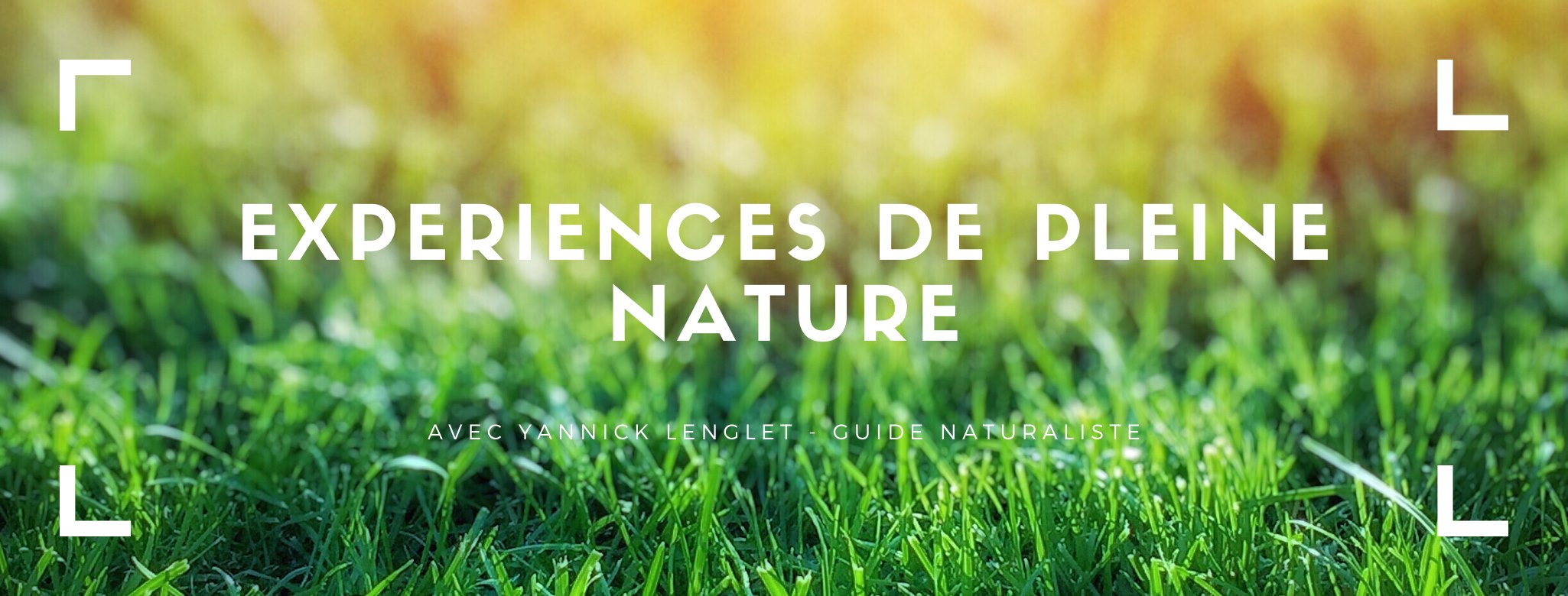 109912849_767478810729049_186335293812175749_n