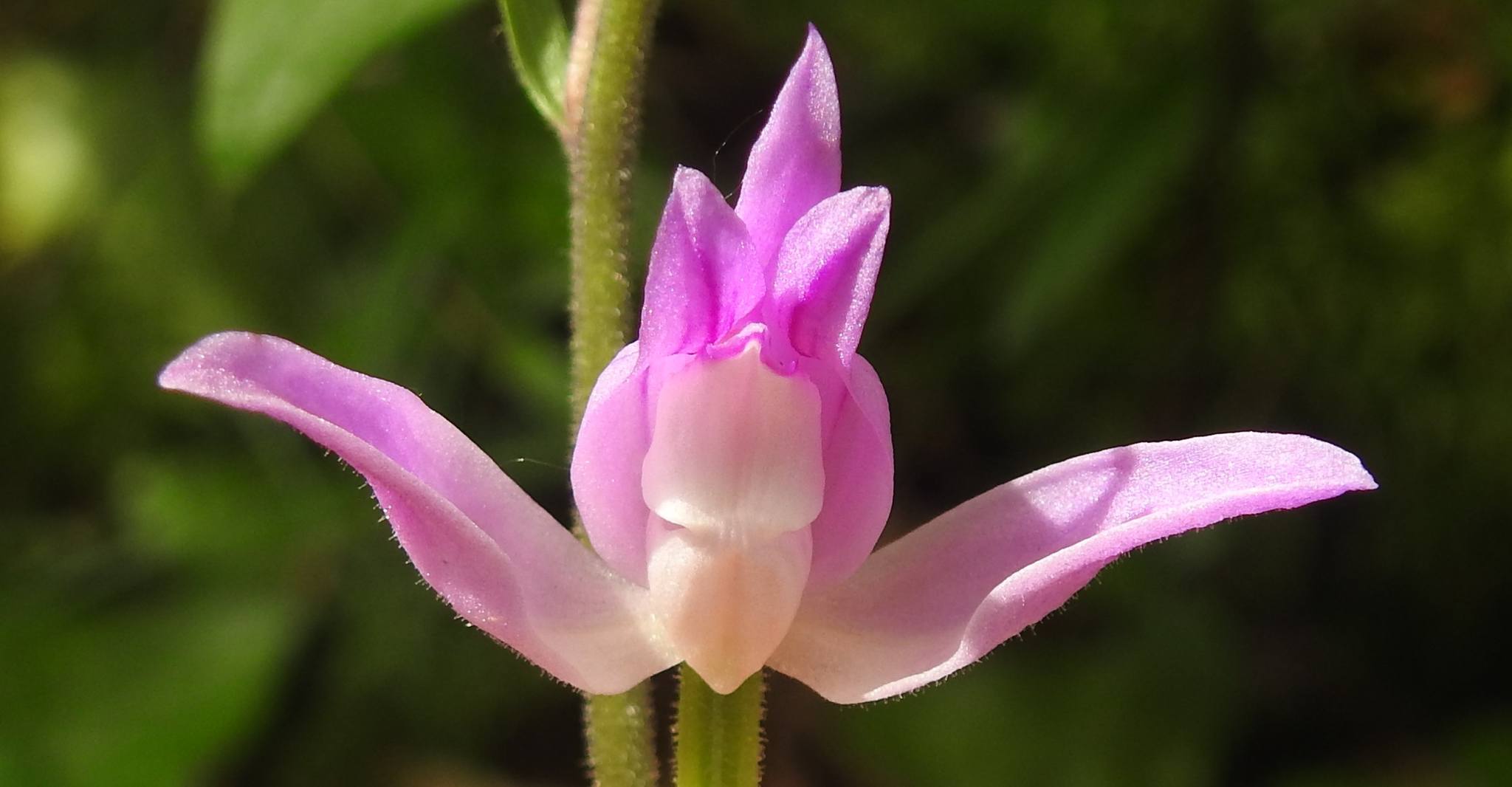 485770606_1092448512686624_1081786255095528676_n