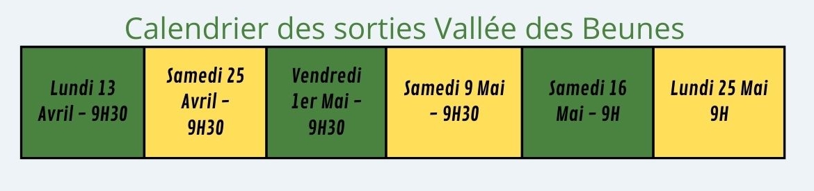 calendrier sortiesbeunes