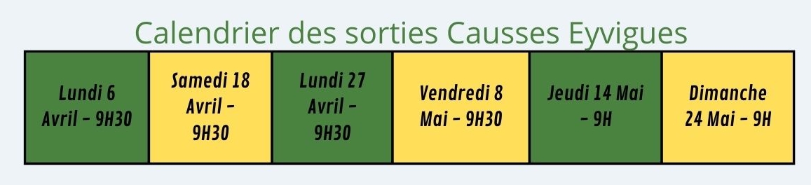 calendrier sortieseyvigues