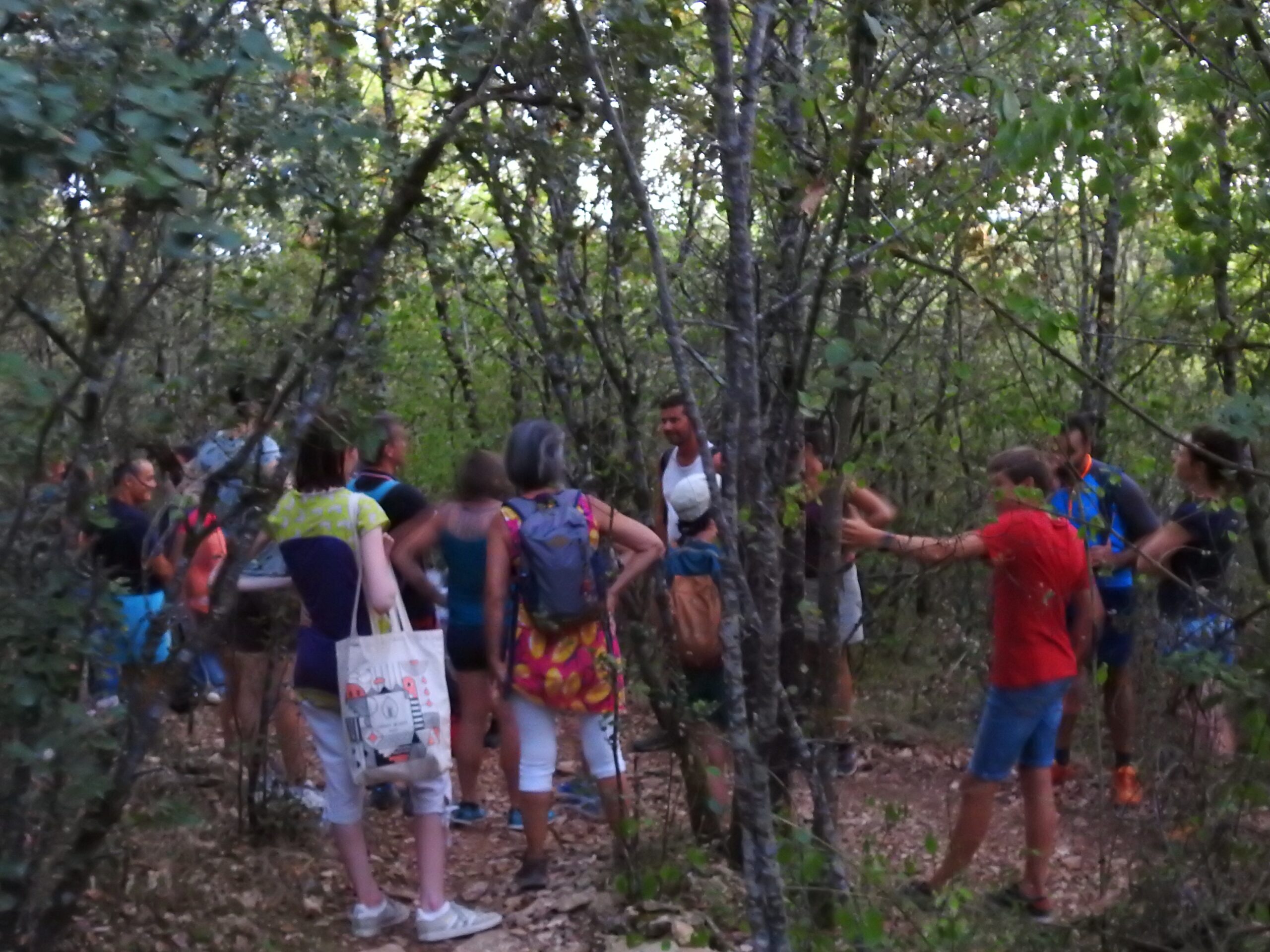 Ballade sensorielle en forêt
