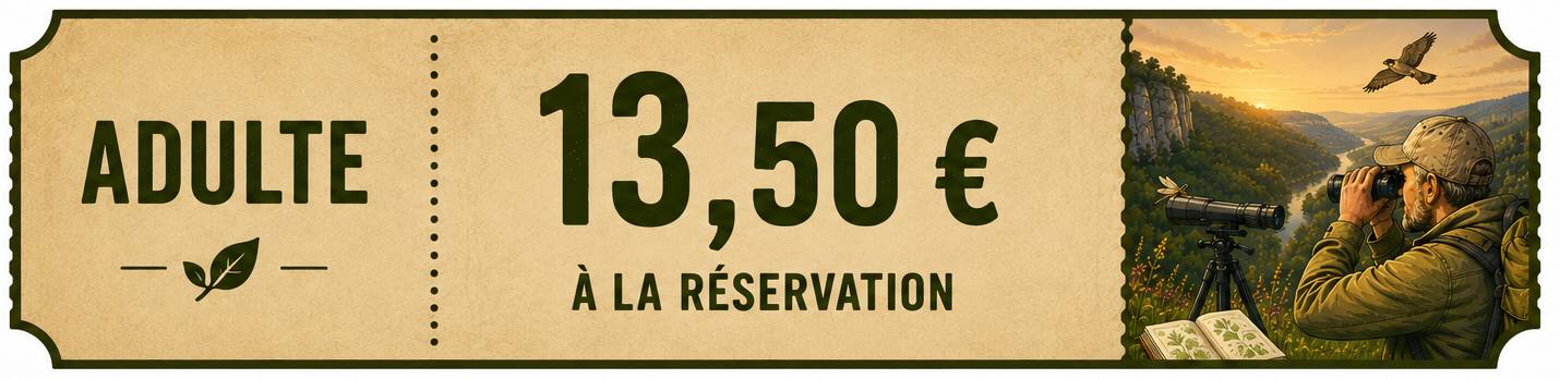 ticket adulte