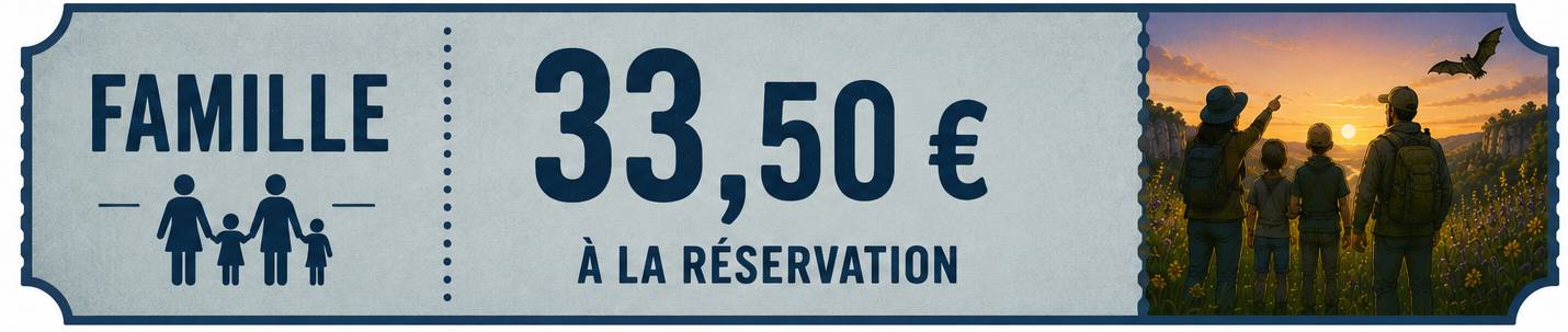 ticket famille
