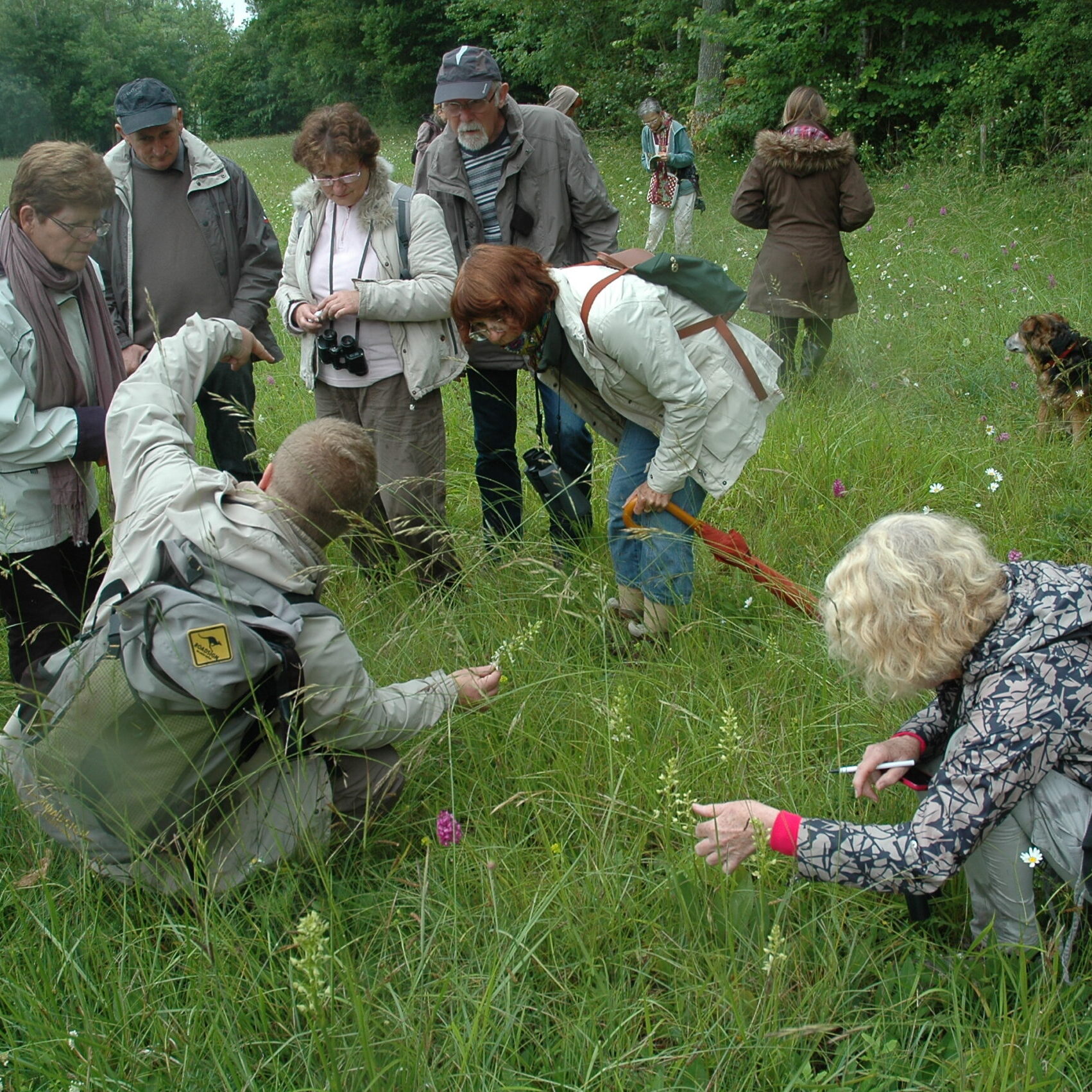 Fête_de_la_nature_2014 Fête_de_la_nature_2014